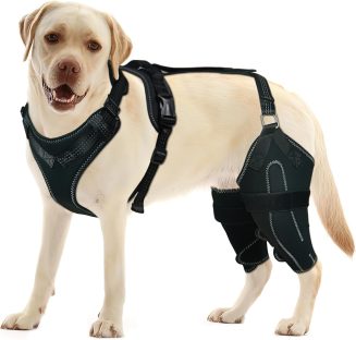 Dog Knee Brace for Torn ACL/CCL